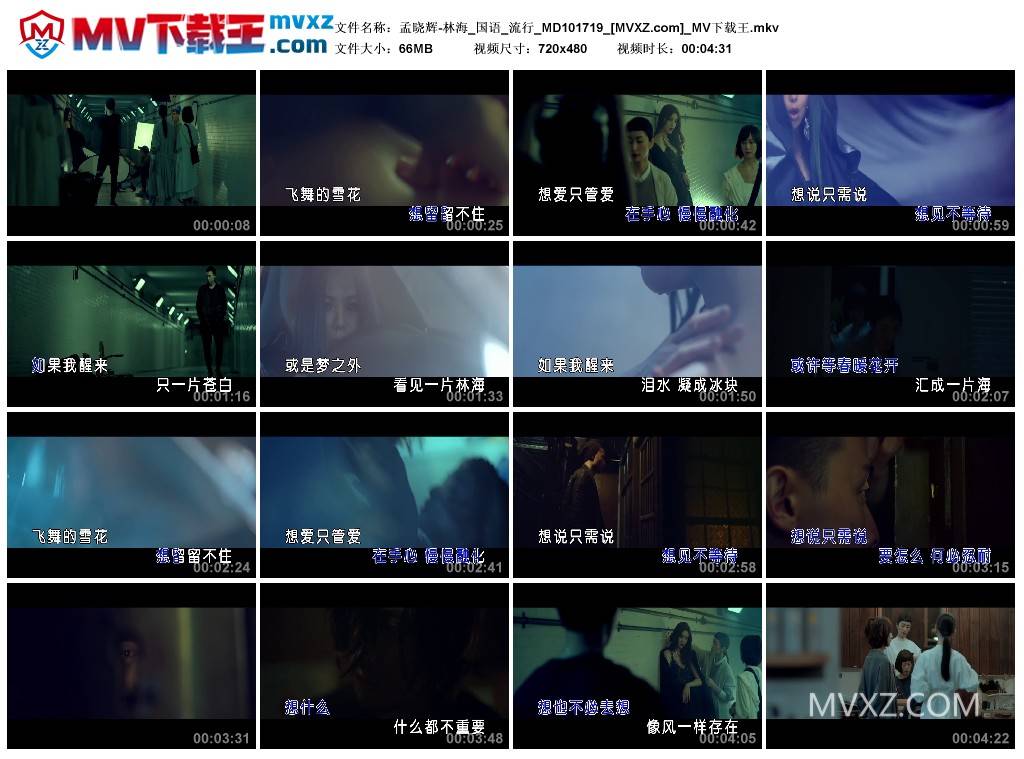 孟晓辉-林海_国语_流行_MD101719